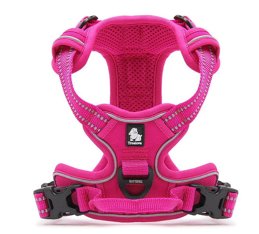 TRUE LOVE harness double-stitching and buckles reinforce durability under strain.
