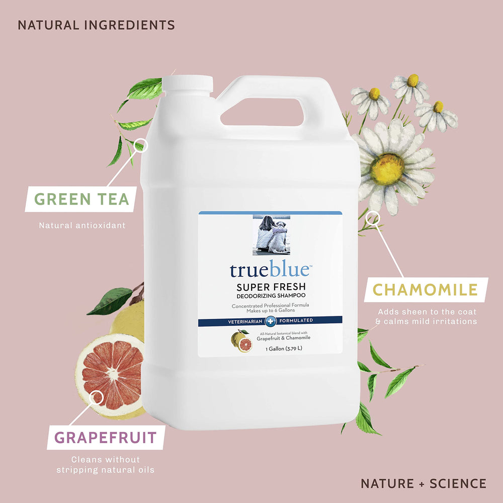 TrueBlue Grapefruit & Chamomile shampoo dilution illustration with measuring cup.