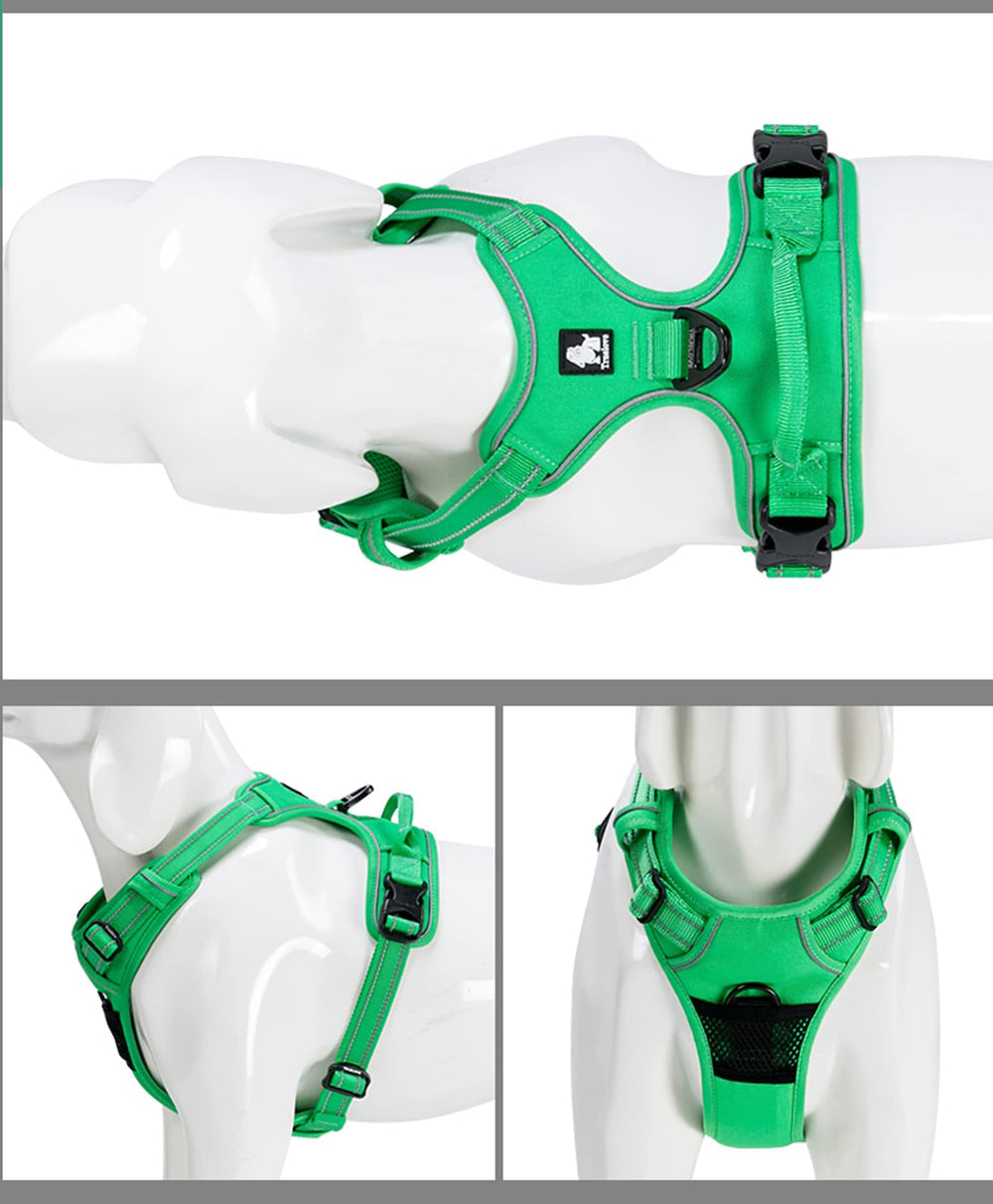 TRUE LOVE TLH5651 Grass Green padded chest emphasizes comfort during walks.
