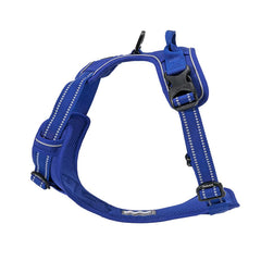 TRUE LOVE TLH5651 Royal Blue durable load-capacity buckles for strong pullers.