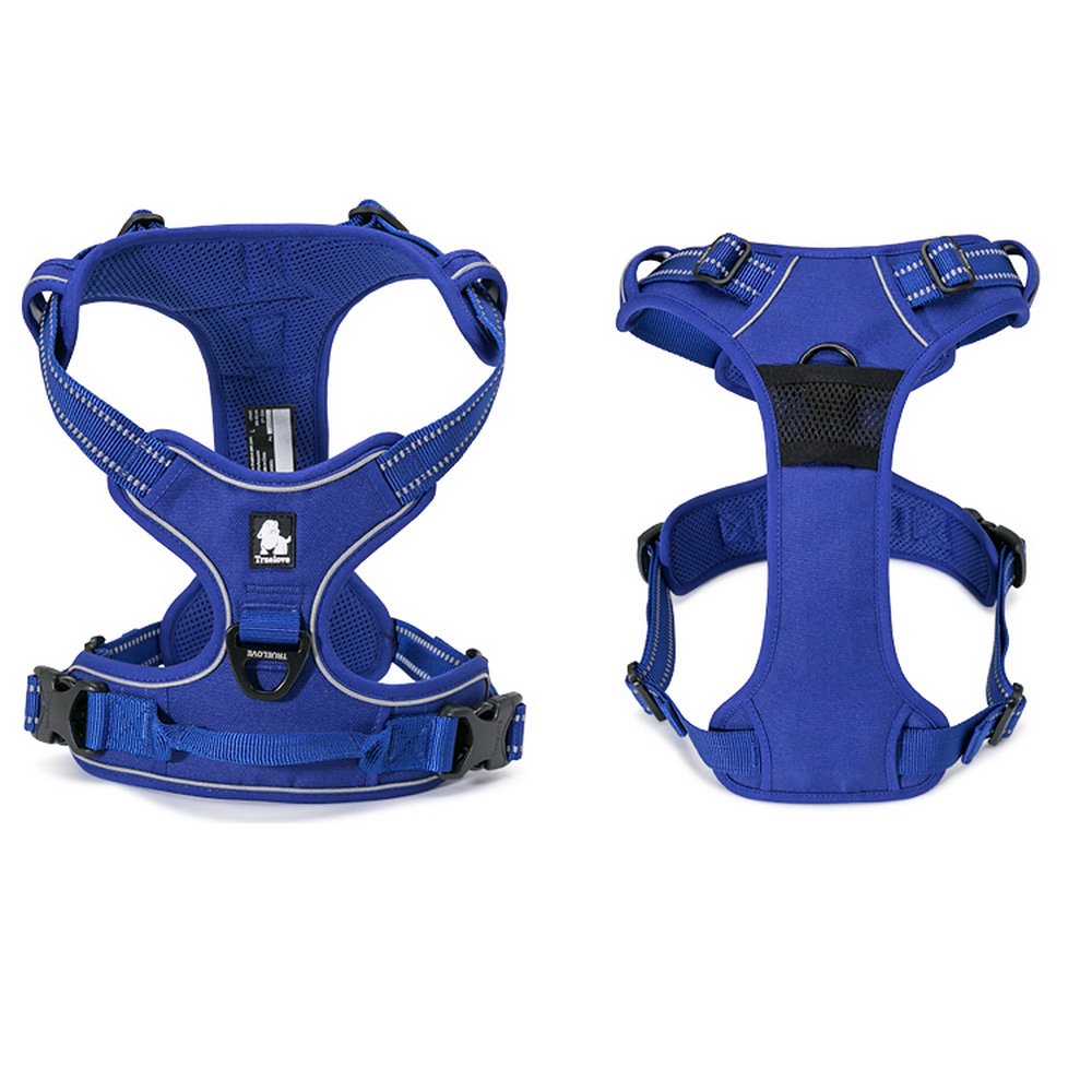 TRUE LOVE TLH5651 Royal Blue soft padded chest for comfortable wear.