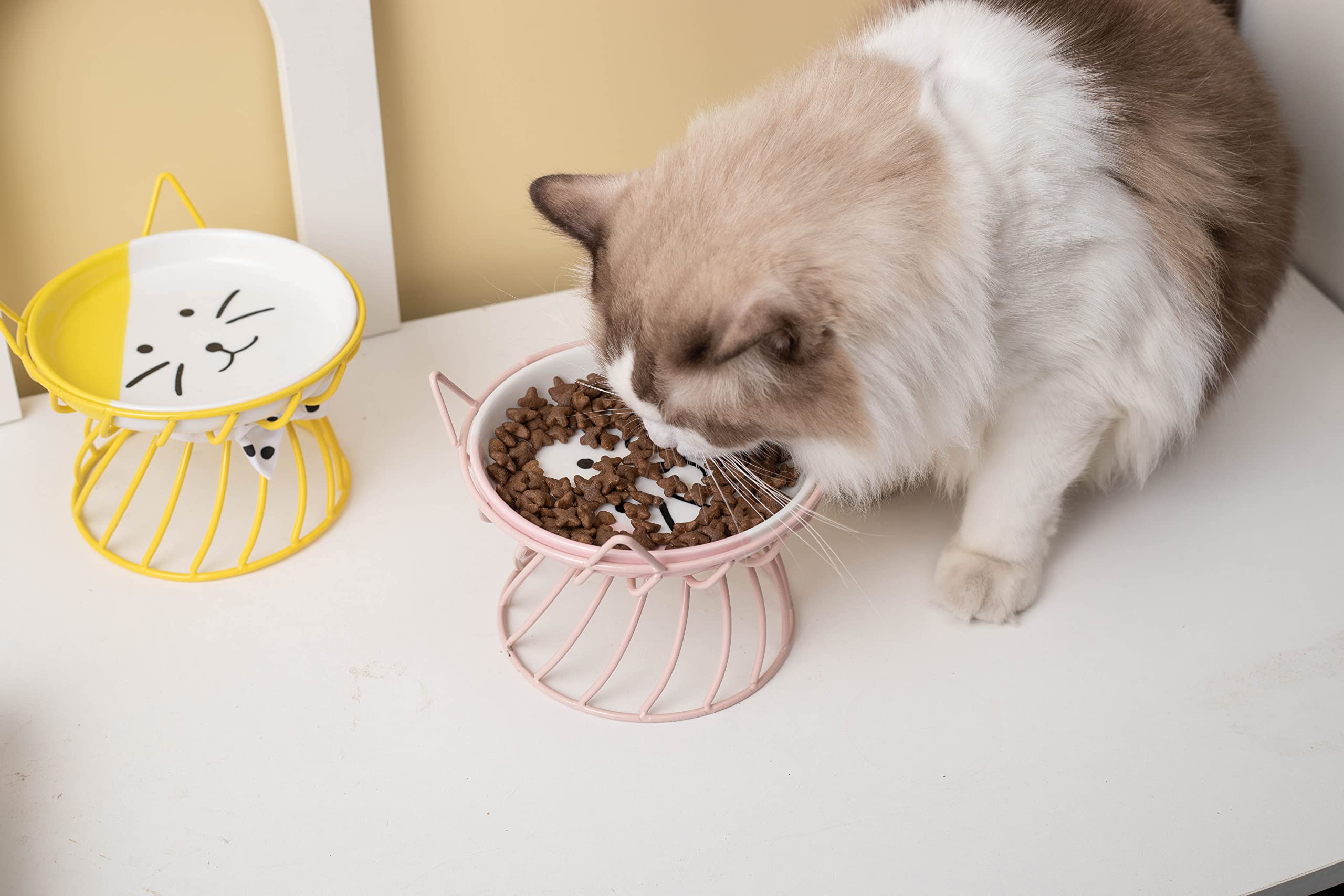 TRUNDISAN 2pcs set offers convenient ready-to-use feeding solution.