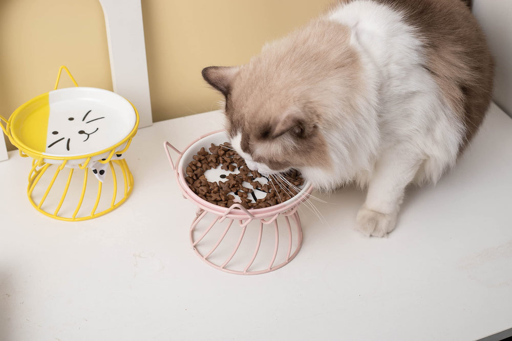 TRUNDISAN 2pcs set offers convenient ready-to-use feeding solution.