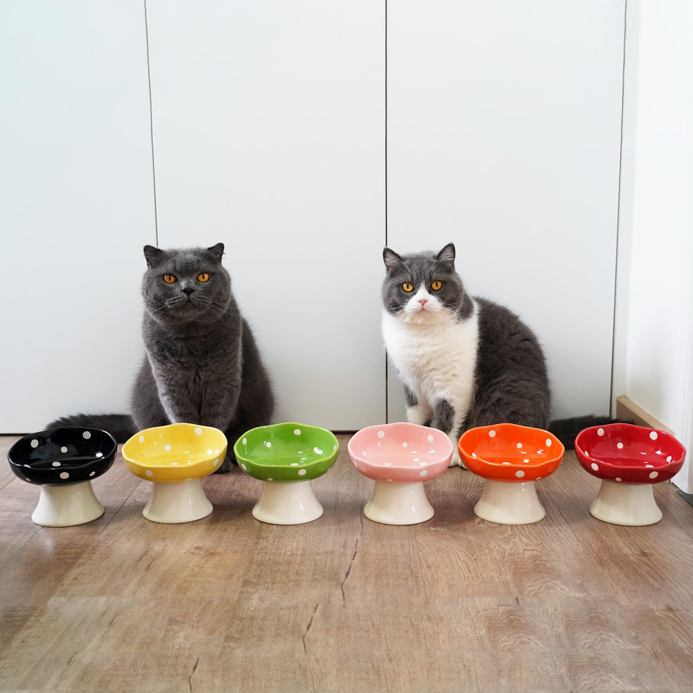 TRUNDISAN black cat bowl setup complements modern home decor.