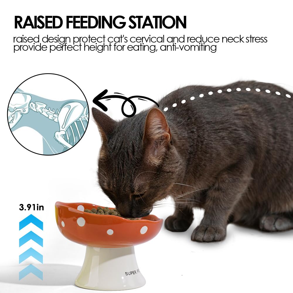 TRUNDISAN stable base cat bowl non-slip for confident meals