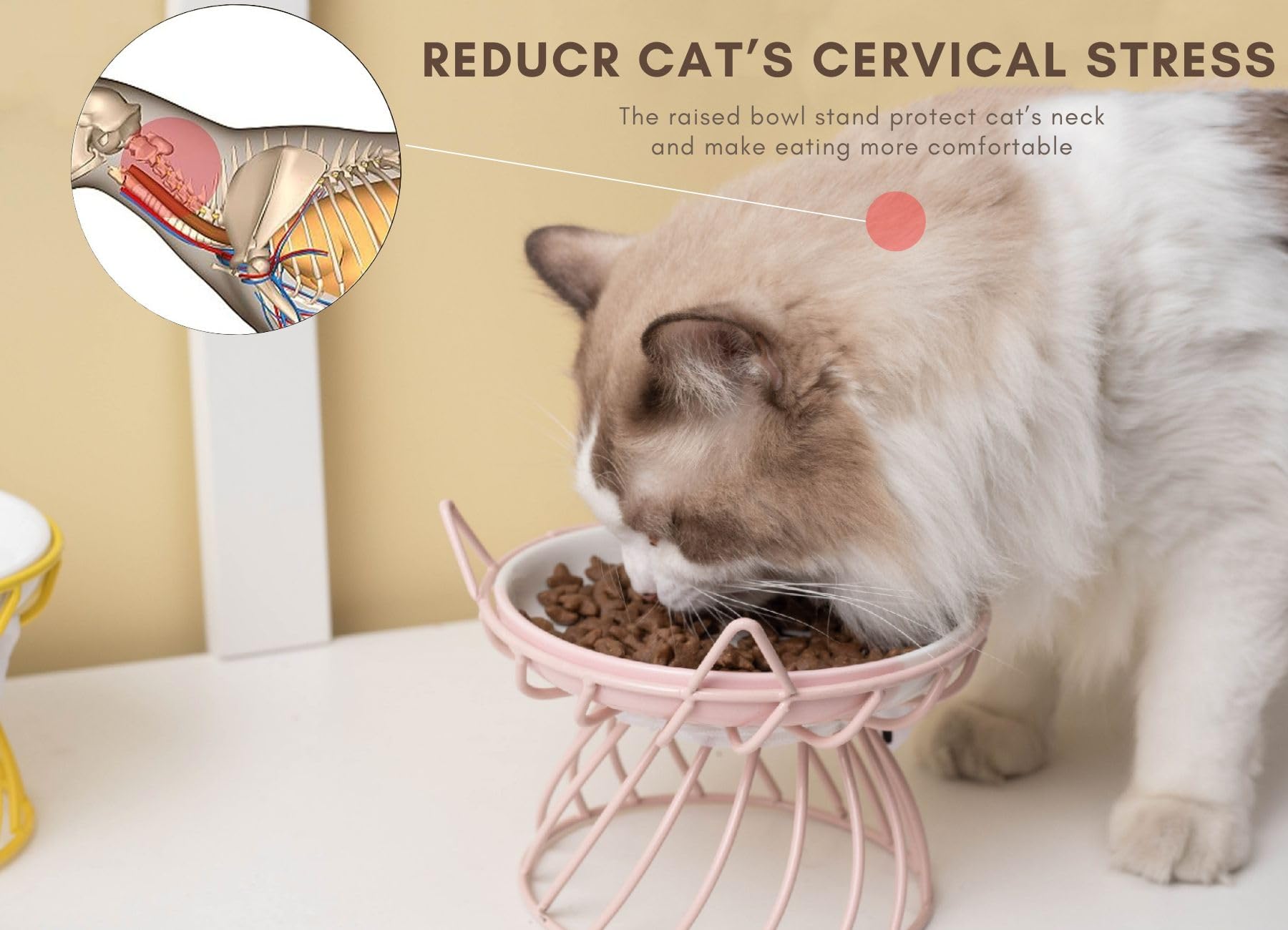 TRUNDISAN cat whisker-friendly design protects sensitive whiskers while eating.