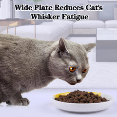 TRUNDISAN ceramic cat dish shows a smooth surface for easy cleaning.