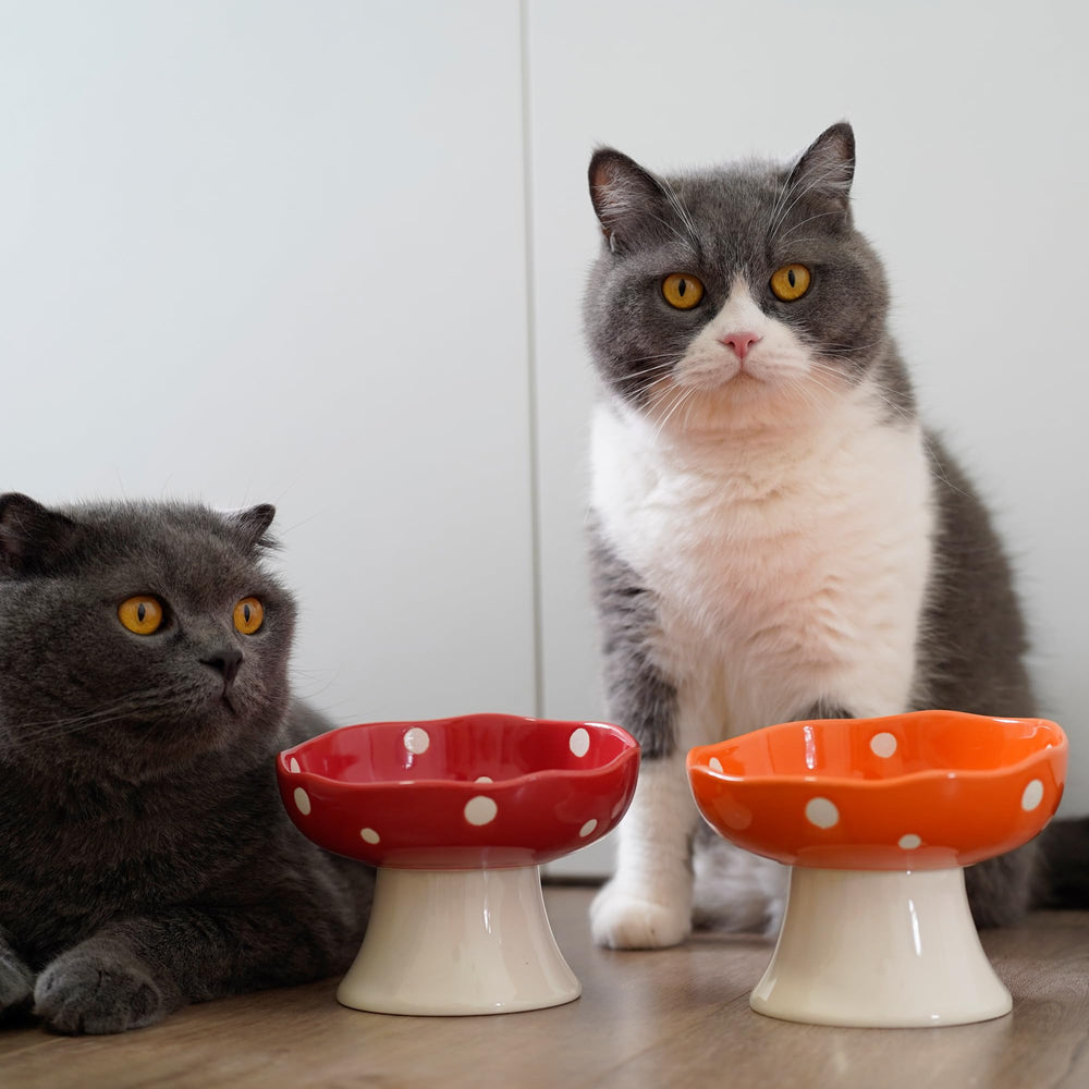 TRUNDISAN ceramic elevated mushroom cat bowls adorned-decor image shows charming home-friendly style.