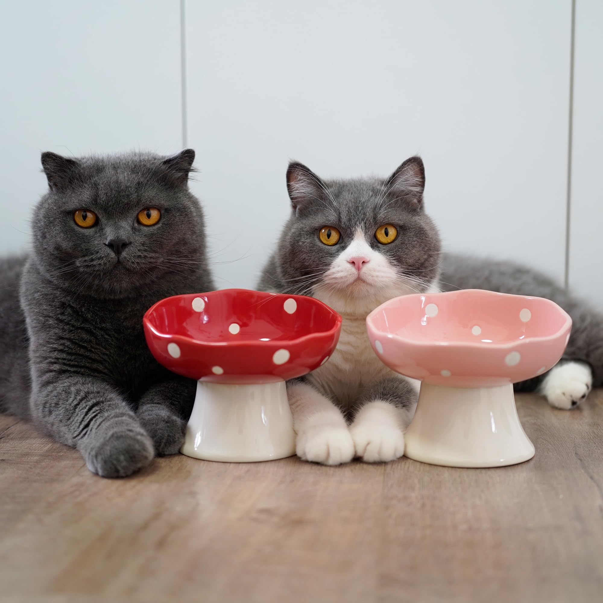 TRUNDISAN ceramic elevated mushroom cat bowls tilting design highlights centered food during meals.
