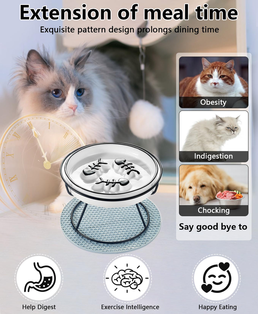 TRUNDISAN ceramic-raised slow feeder shows elevated design for easier posture and digestion.