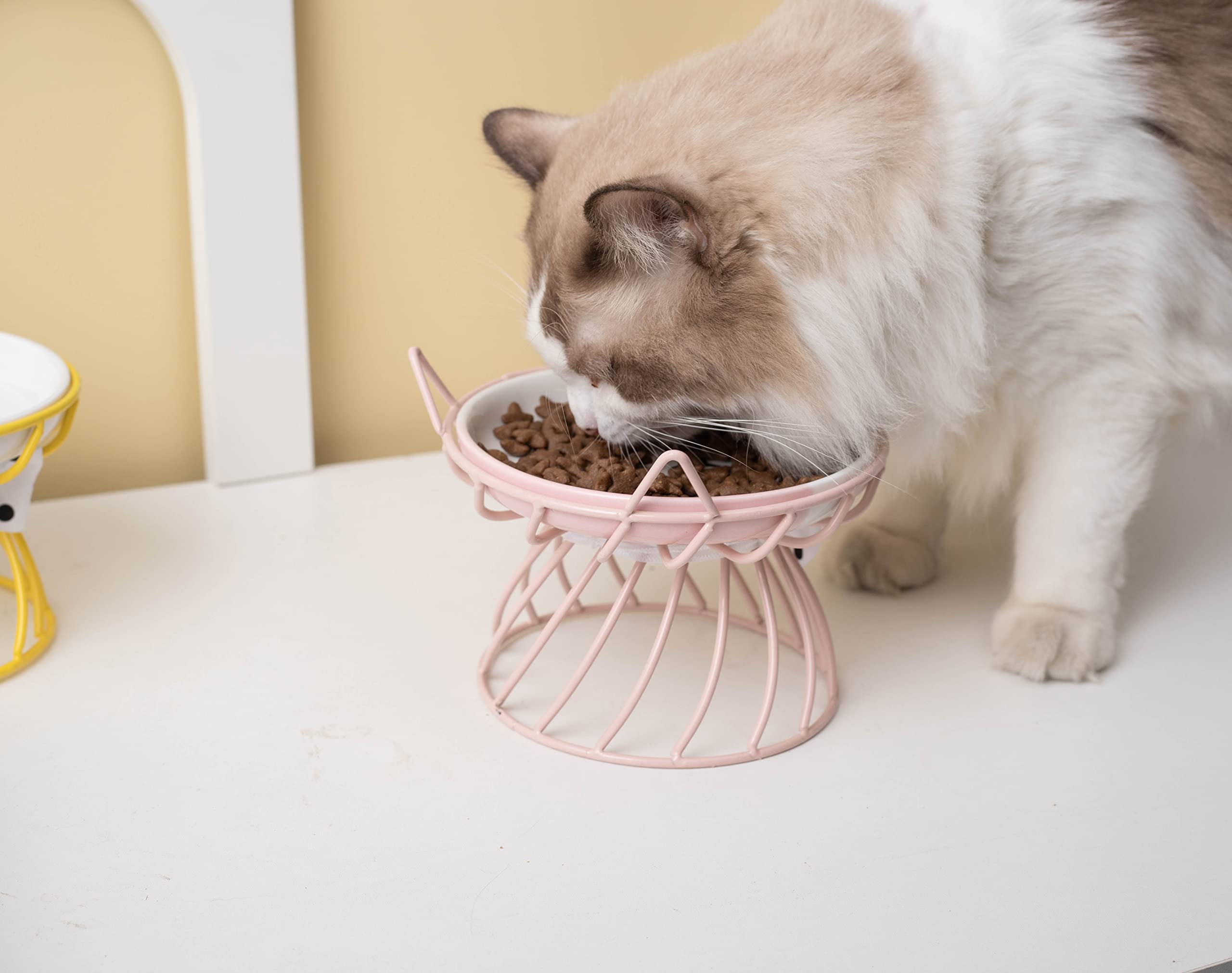 TRUNDISAN dishwasher and microwave-safe bowl ready for care
