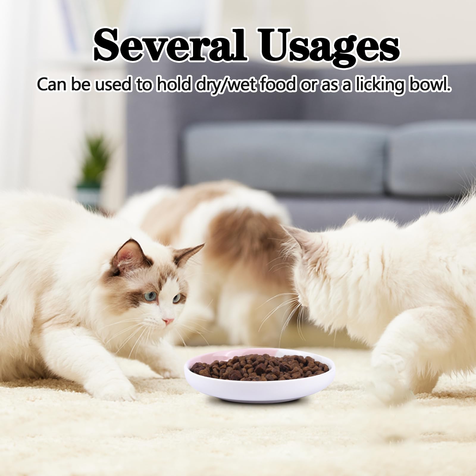 TRUNDISAN dishwasher-safe cat bowls simplify cleaning and maintenance.