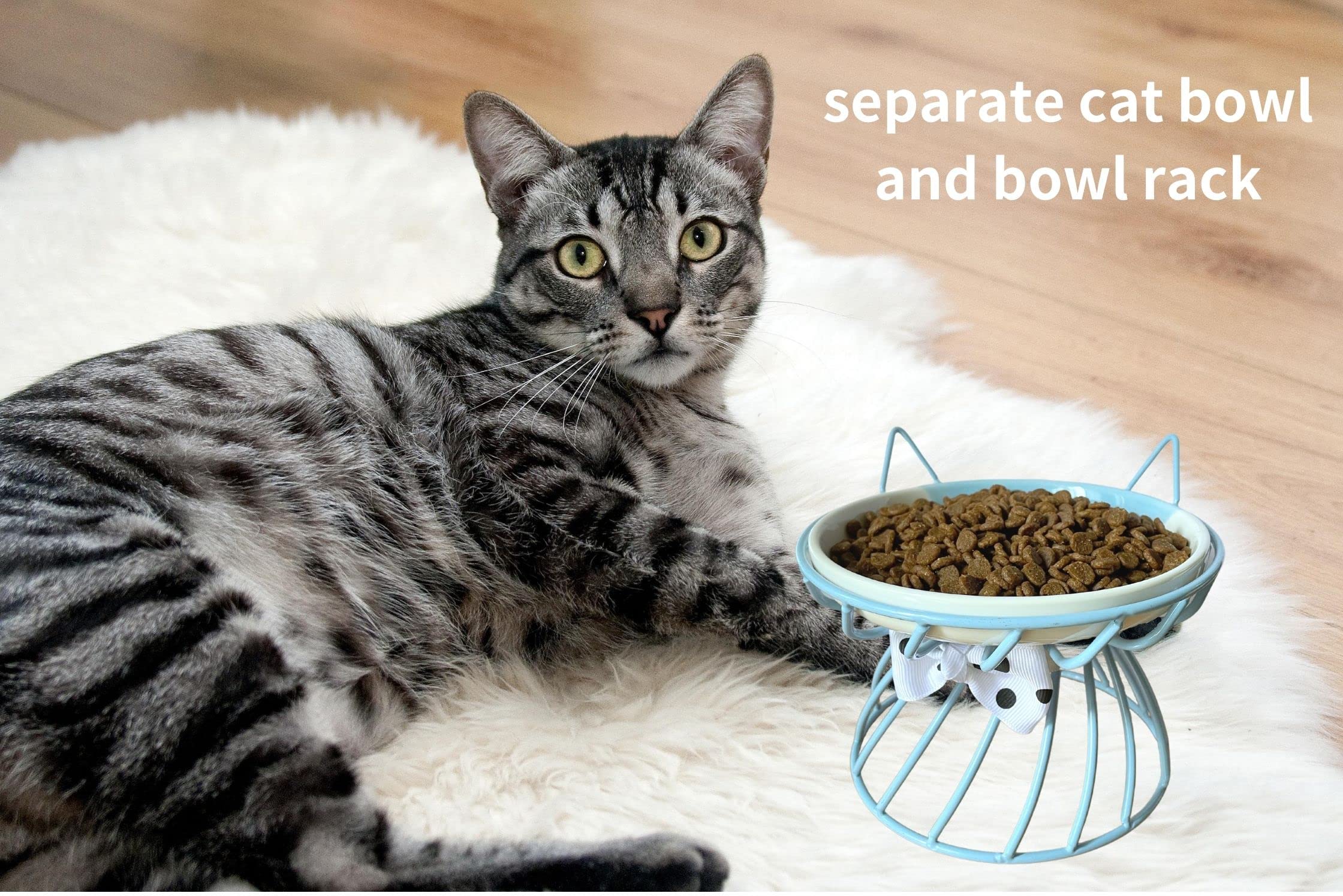 TRUNDISAN dishwasher-safe-cat-bowl enables quick cleanup after meals.