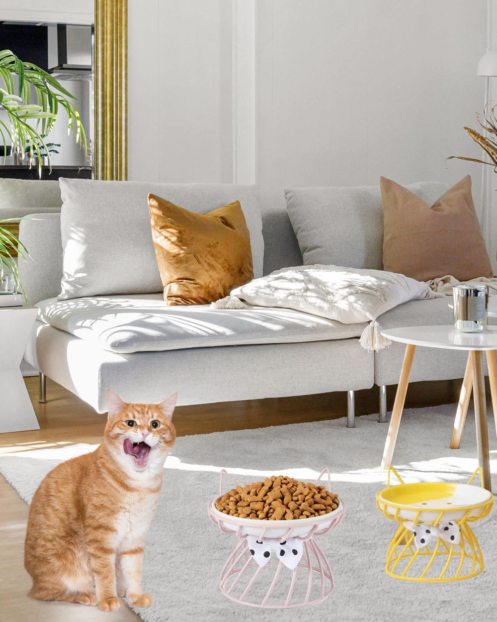 TRUNDISAN dishwasher-safe cat bowls simplify cleanup after meals.
