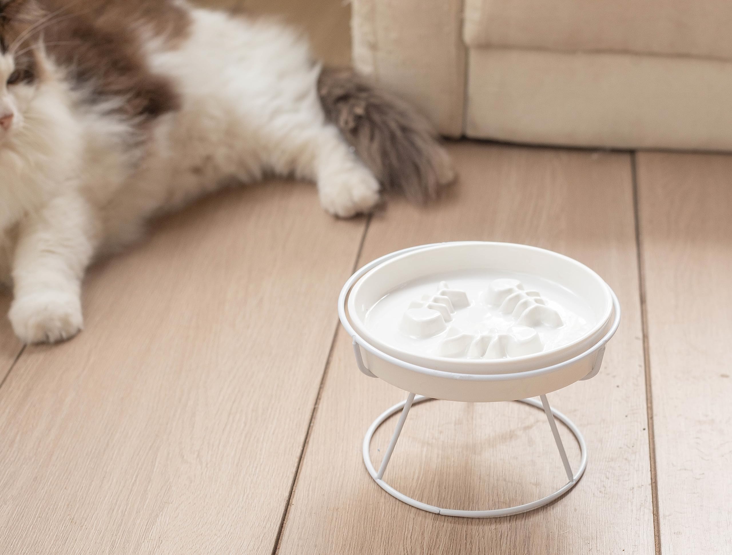 TRUNDISAN dishwasher-safe ceramic bowl makes cleanup quick after feeding.