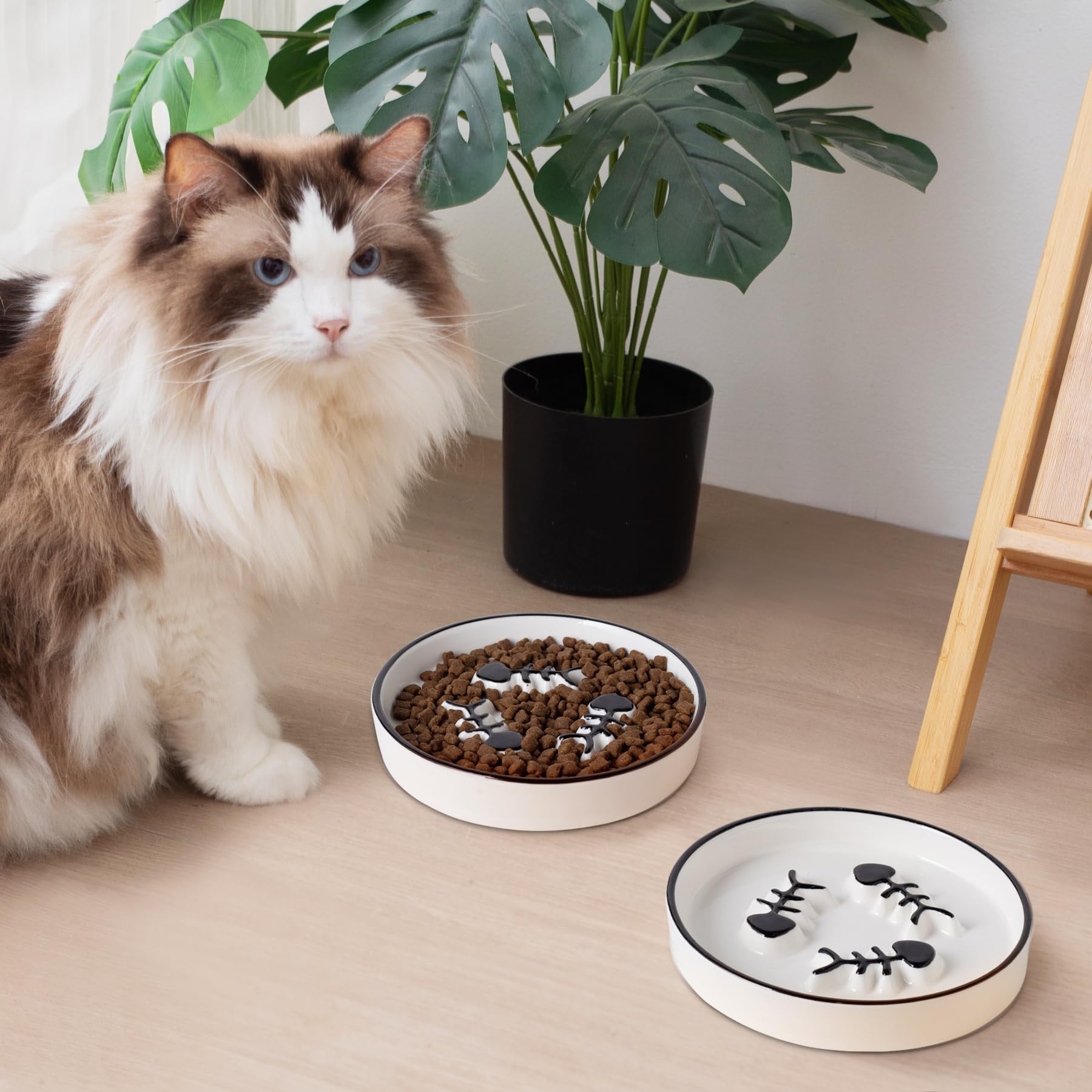 TRUNDISAN dishwasher-safe ceramic bowls ensure fast, convenient cleaning after meals.