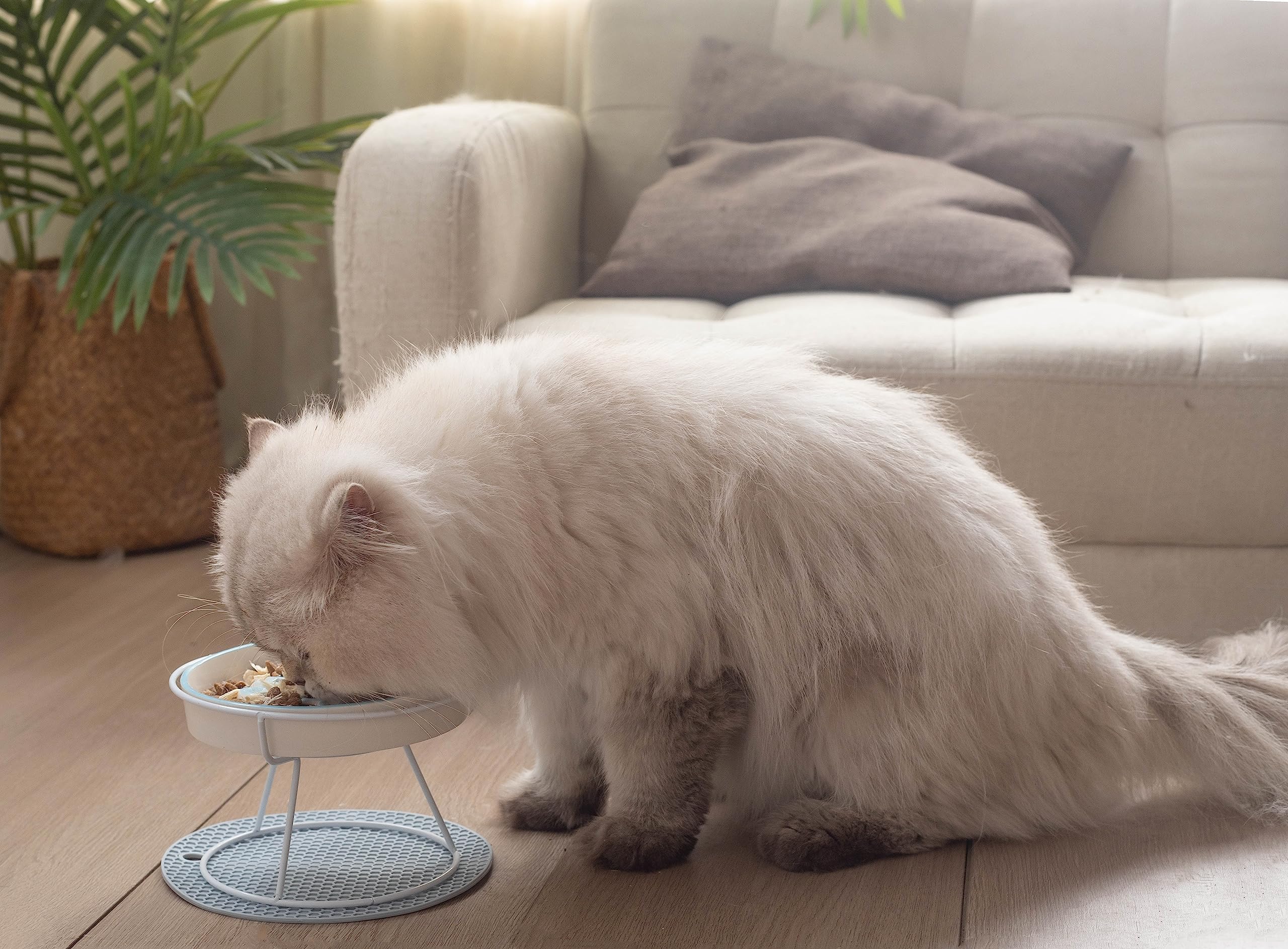 TRUNDISAN non-toxic glaze ensures pet-safe meals and long-lasting shine.