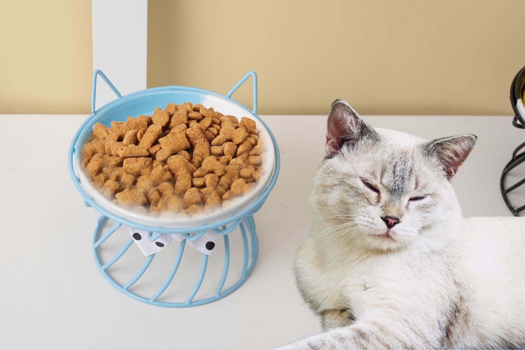 TRUNDISAN microwave-safe-cat-feeder allows reheating leftovers with convenience.