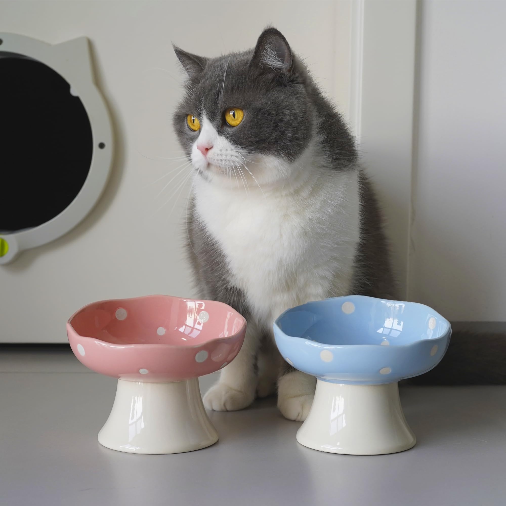 TRUNDISAN tazón con diseño decorativo añade encanto al rincón de comer.