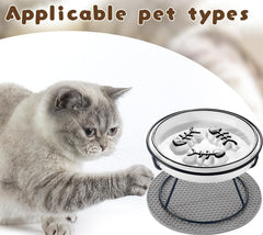 TRUNDISAN tilted-design cat bowl promotes comfortable eating for pets.