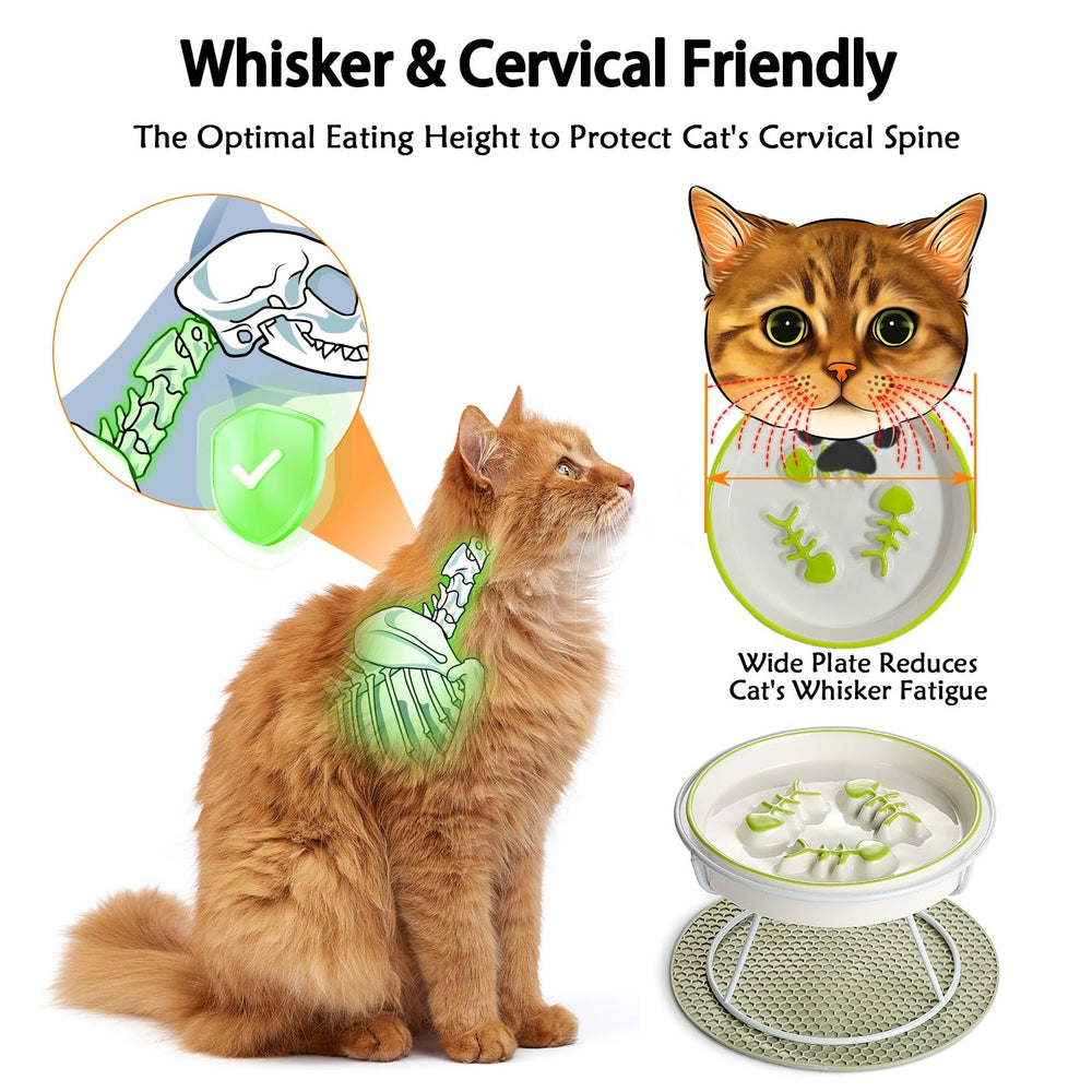 TRUNDISAN whisker-friendly puzzle feeder supports comfortable, mindful eating.