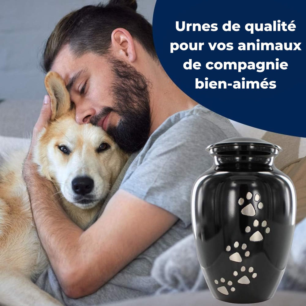 Trupoint Memorials large pet urn velvet bag included for safe transport.