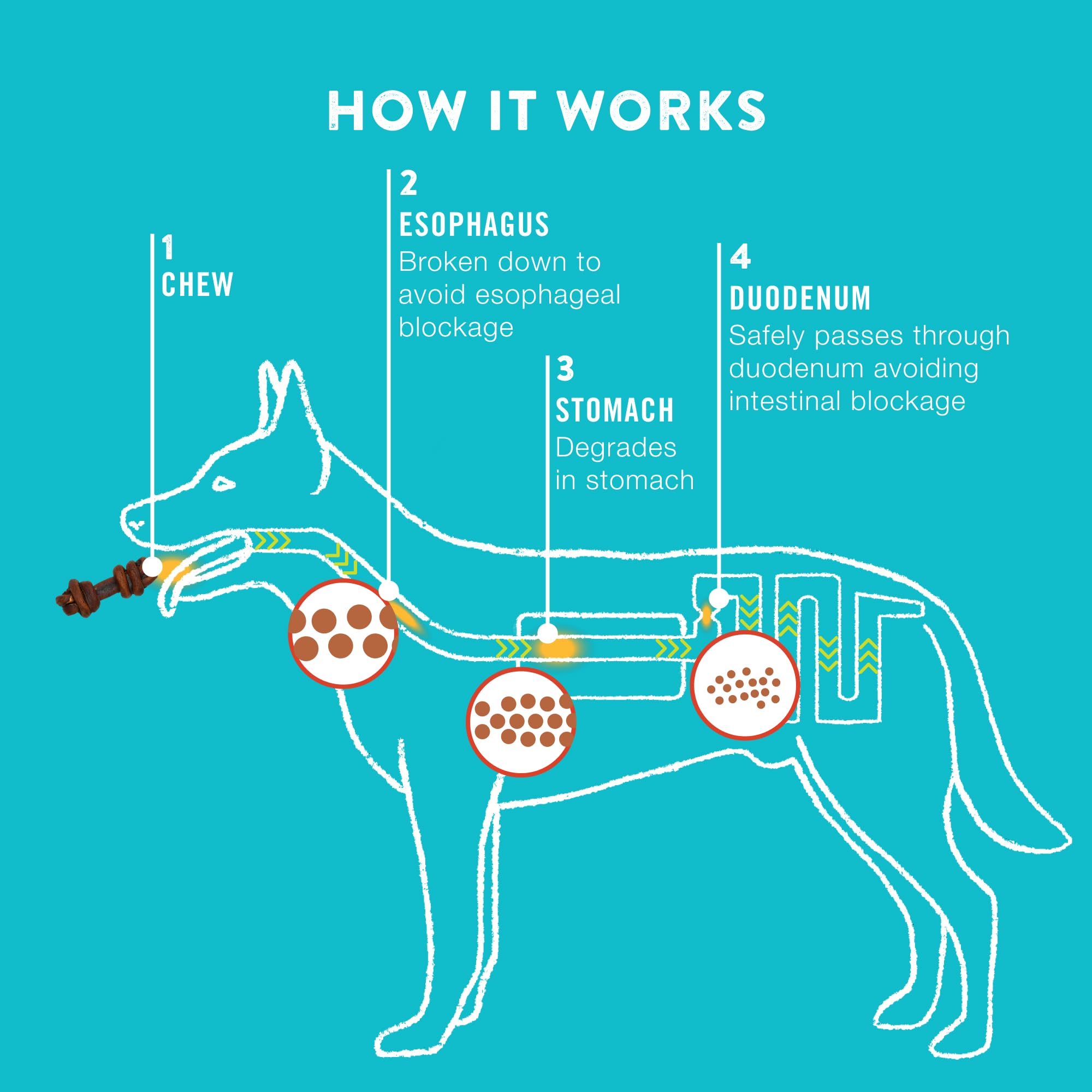 TRURANCH Collagen Bones Bully chew texture macro-shot highlights durability for large breeds