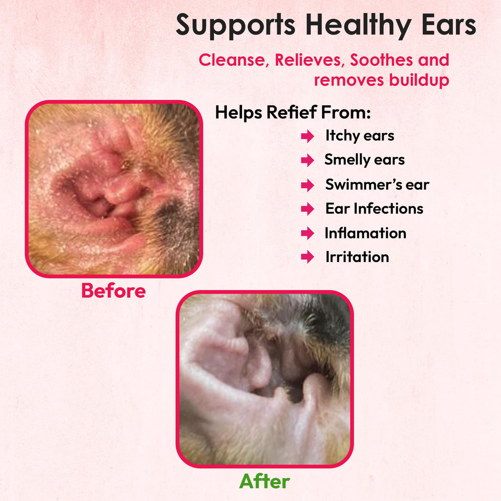 Truseb ear wash applied to a cat ear for soothing cleansing