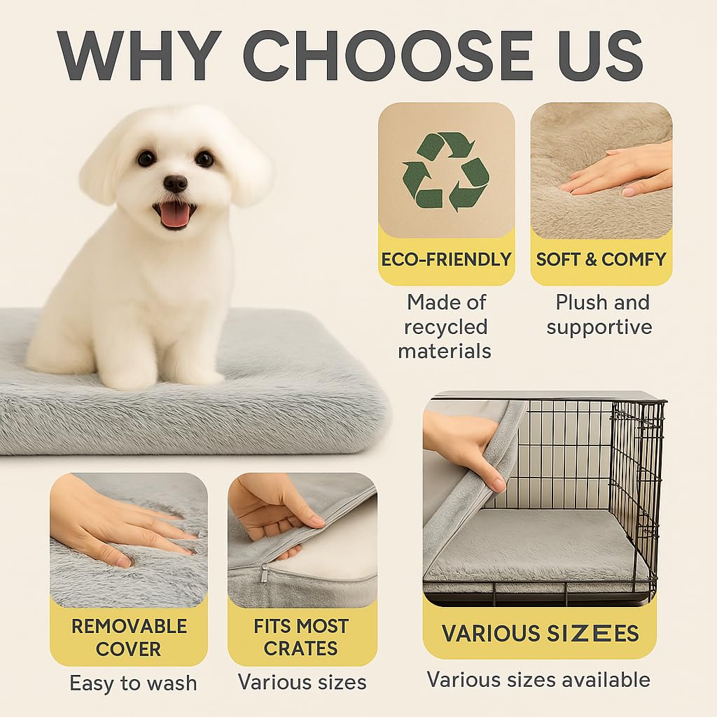 Trusted Choice Market dog bed large portable feature for travel or moving rooms