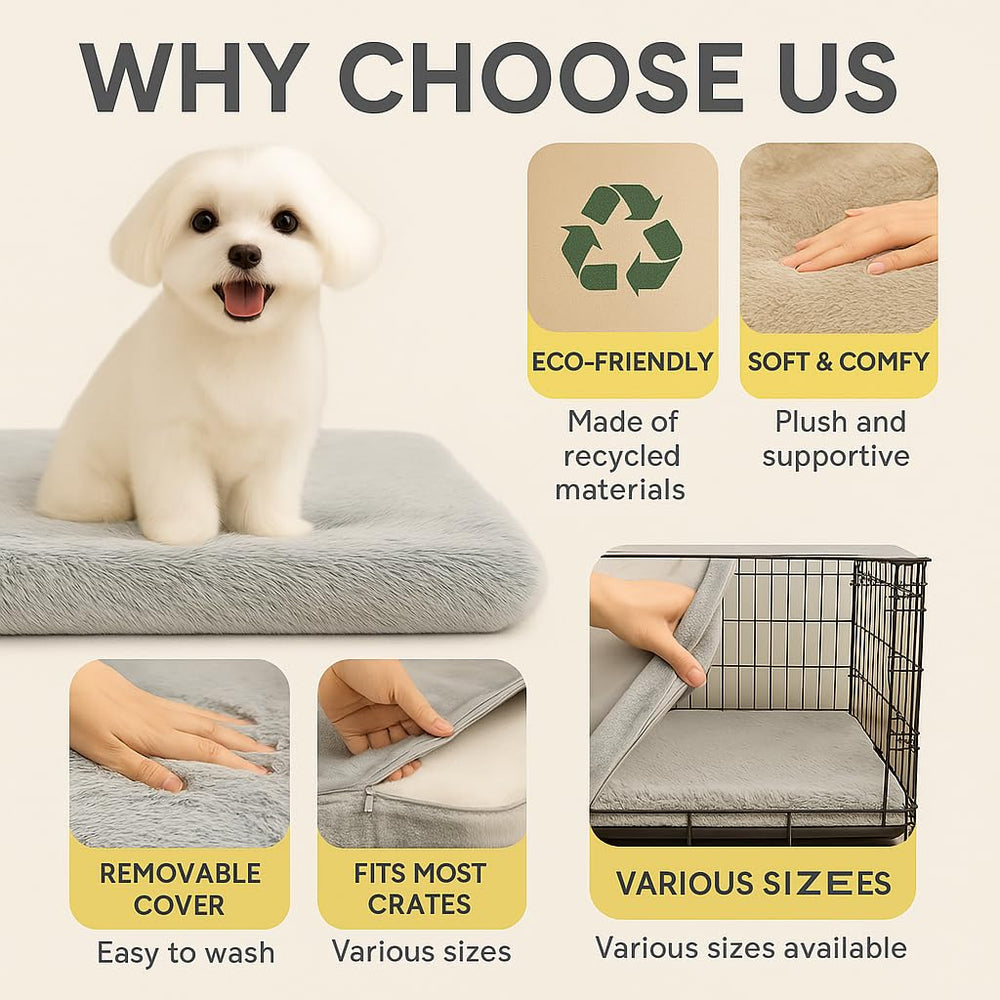 Trusted Choice Market dog bed large portable feature for travel or moving rooms