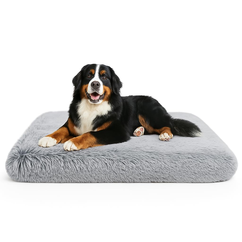 Trusted Choice Market dog bed large top view shows spacious orthopedic comfort