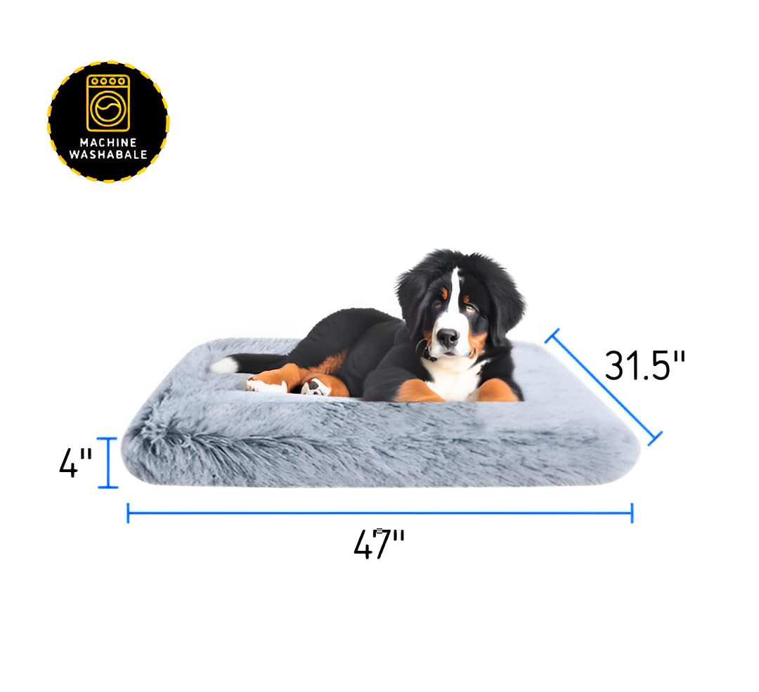 Trusted Choice Market XX-Large dog bed side view highlights spacious lounging area