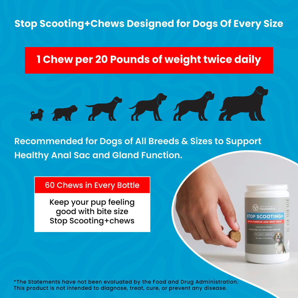 TrustWELL PawMedica anal gland support chews in a kitchen scene