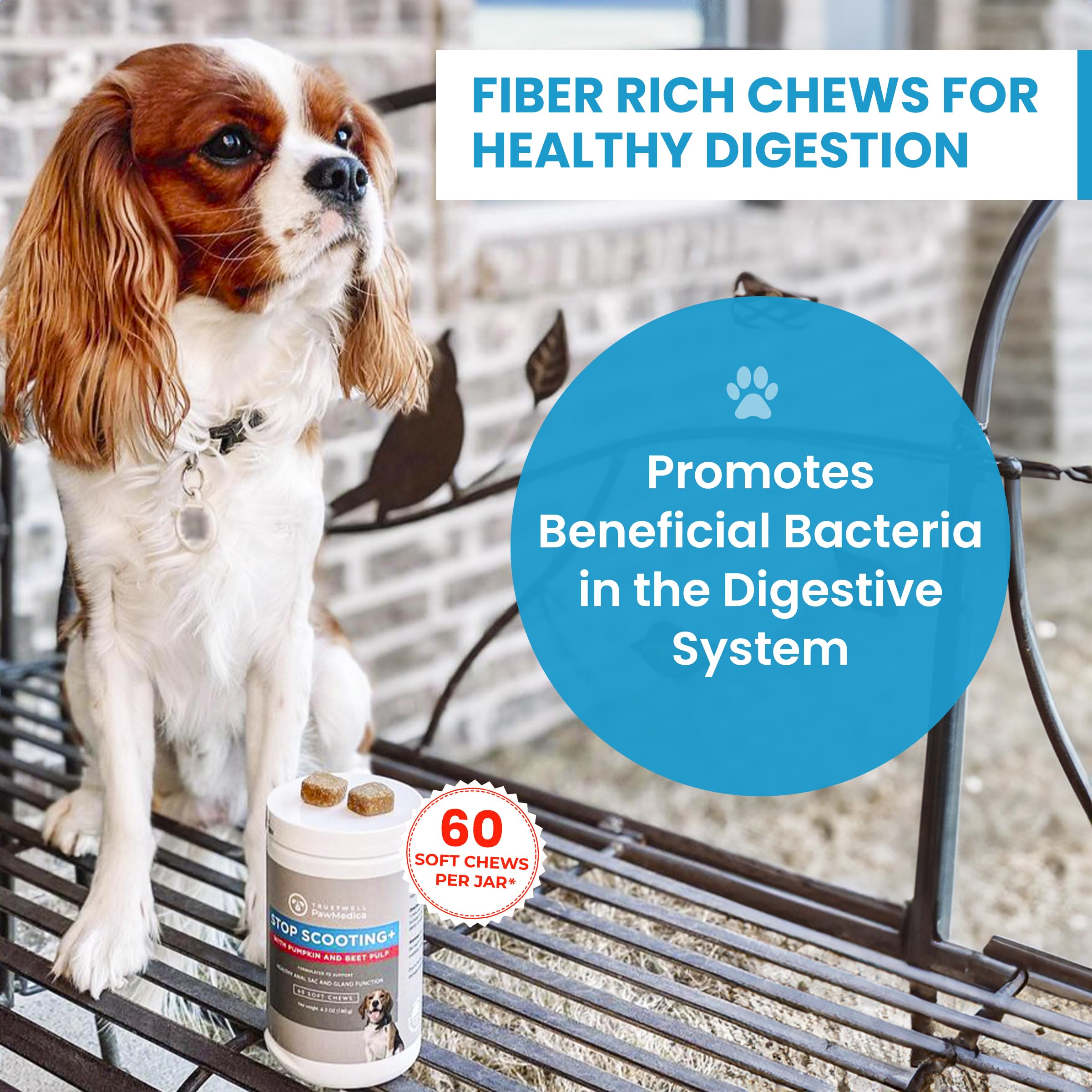 TrustWELL PawMedica fiber supplement ingredients chart highlights organic soluble fiber