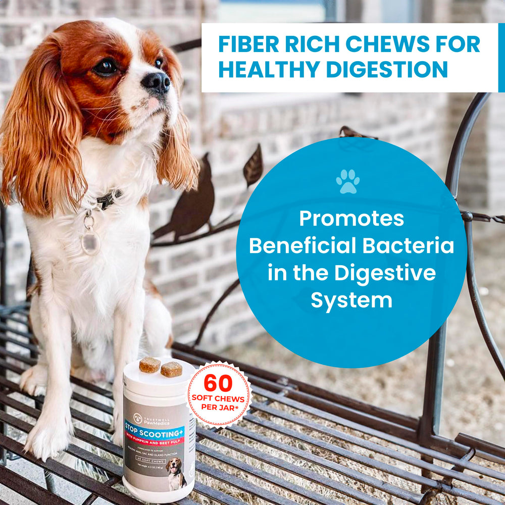 TrustWELL PawMedica fiber supplement ingredients chart highlights organic soluble fiber