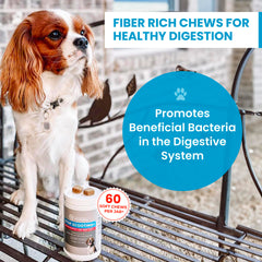TrustWELL PawMedica fiber supplement ingredients chart highlights organic soluble fiber