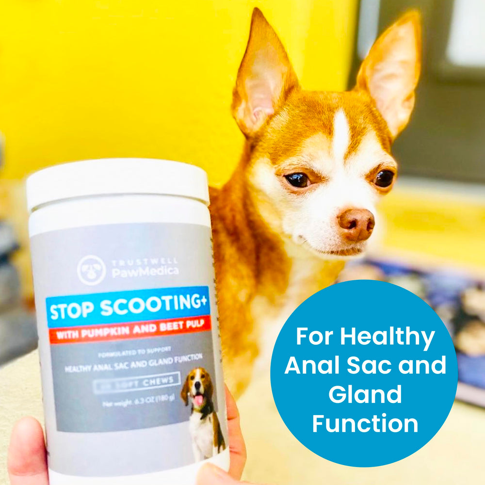 TrustWELL PawMedica dog chews independently lab tested for safety