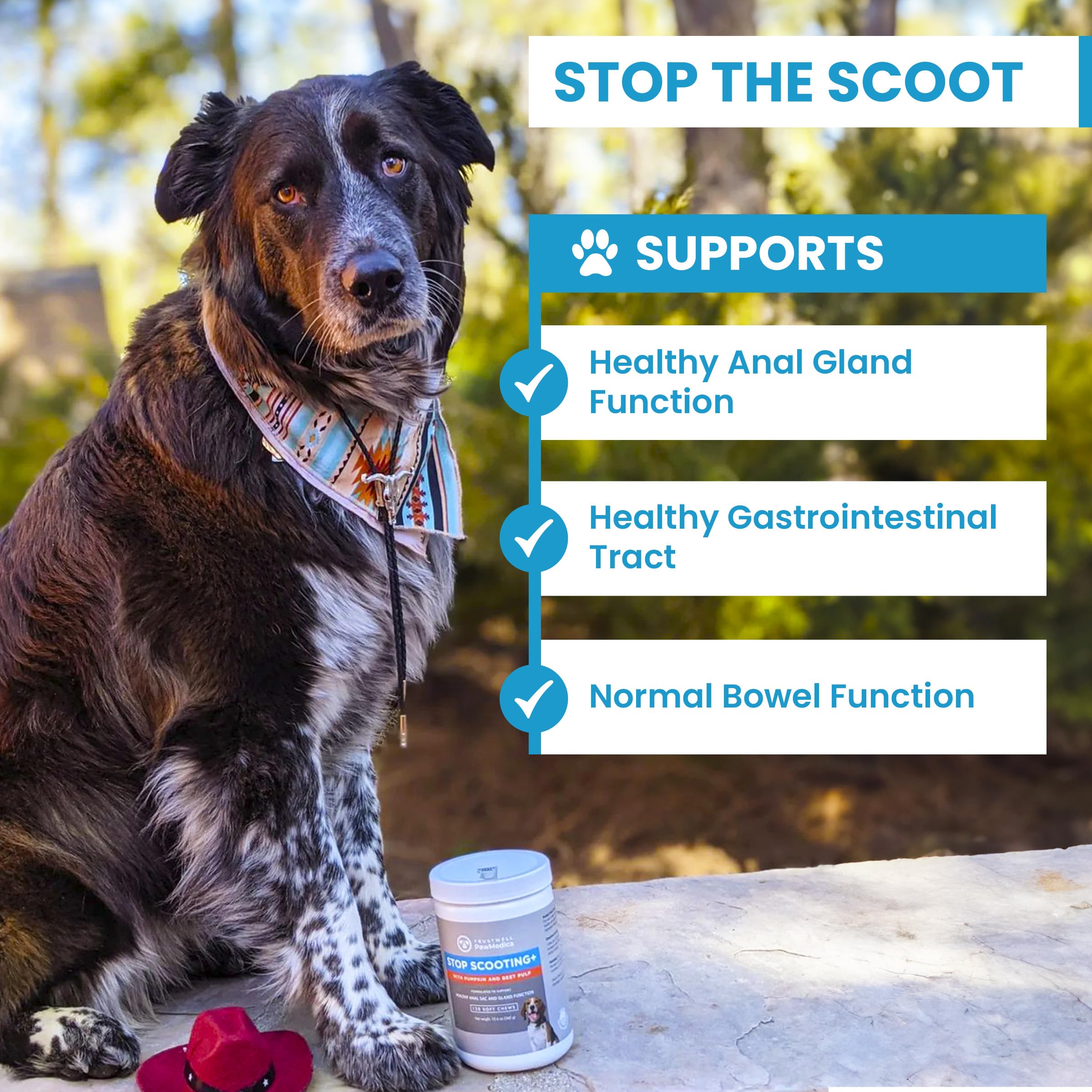 TrustWELL PawMedica pumpkin chews package highlighting pumpkin extract and fiber benefits
