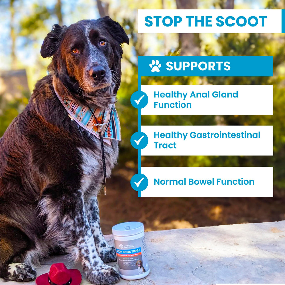 TrustWELL PawMedica pumpkin chews package highlighting pumpkin extract and fiber benefits