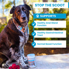TrustWELL PawMedica pumpkin chews package highlighting pumpkin extract and fiber benefits
