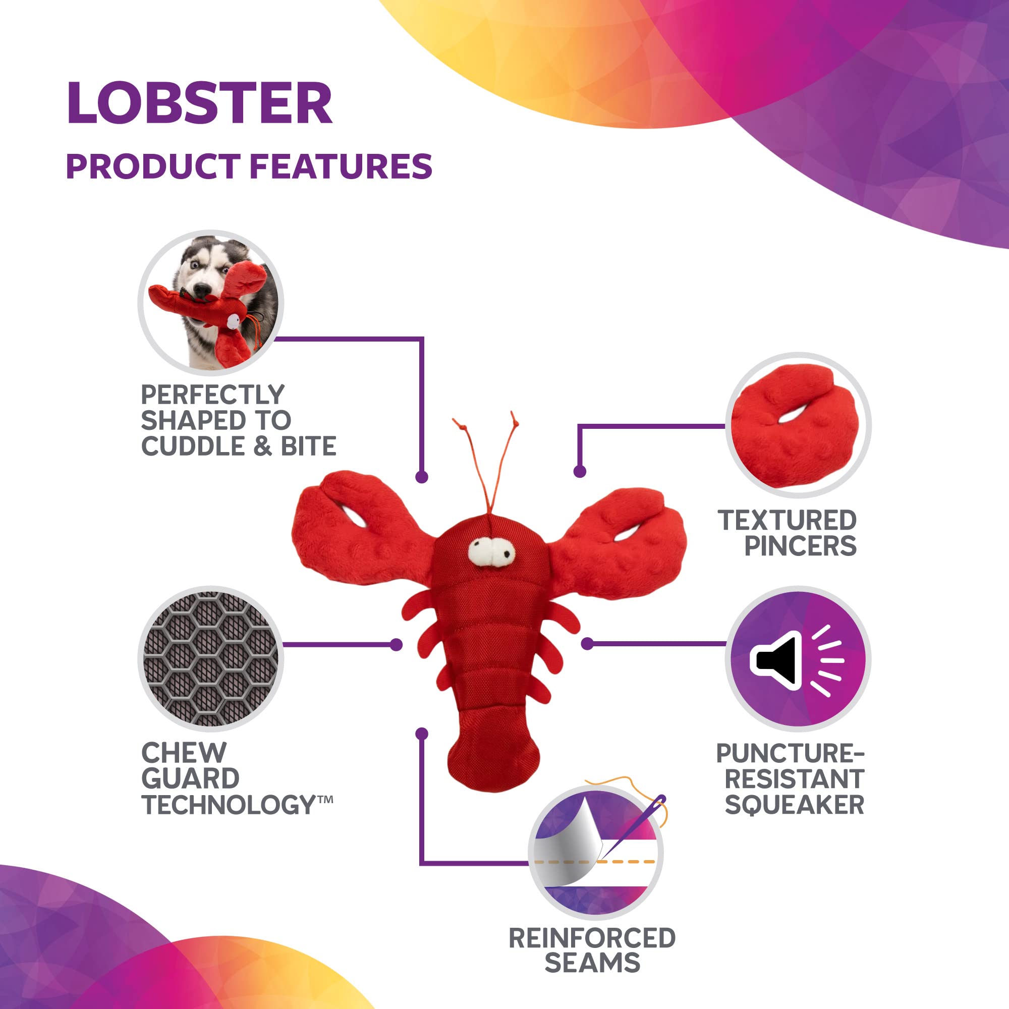Lobster toy squeaker inside stimulates play and attention during fetch