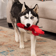 TrustyPup Lobster red side view reinforced seams for tougher chewers