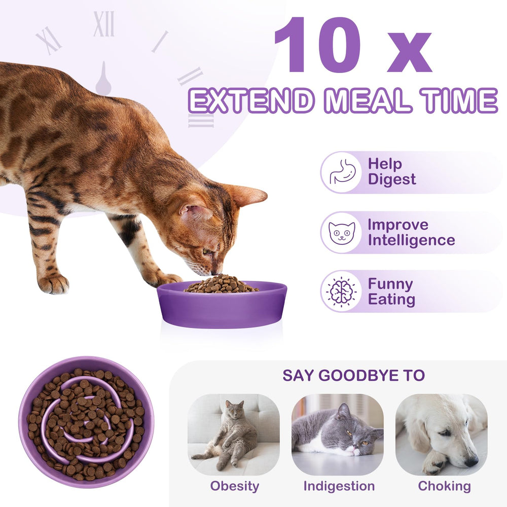 TRUVIC ceramic slow-feeder dog bowl purple top view highlights non-slip design for steady dining.