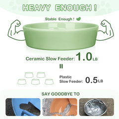 Dishwasher-safe TRUVIC ceramic bowl offers quick cleaning and odor-free meals.