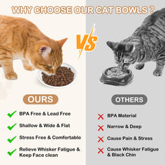 TRUVIC non-toxic ceramic bowls with lead-free glaze