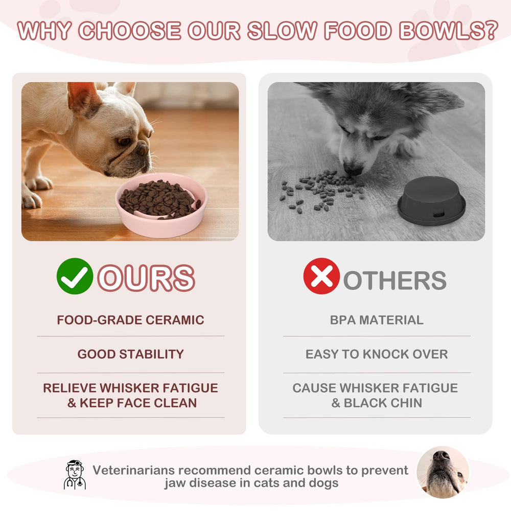 TRUVIC small-dog mealtime puzzle aids slower eating and engagement.