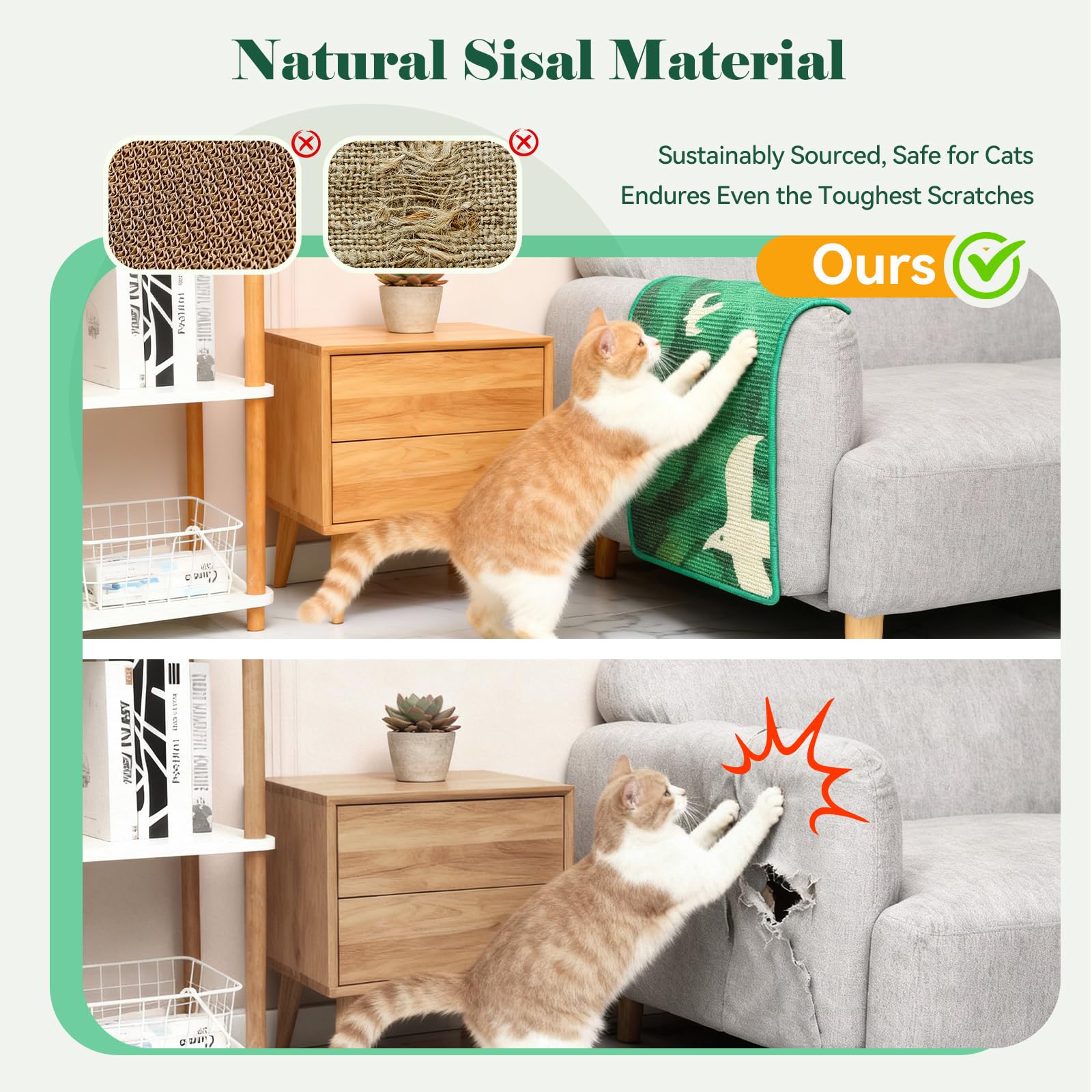 Truvito cat-napping on sisal scratcher demonstrates cozy lounging surface