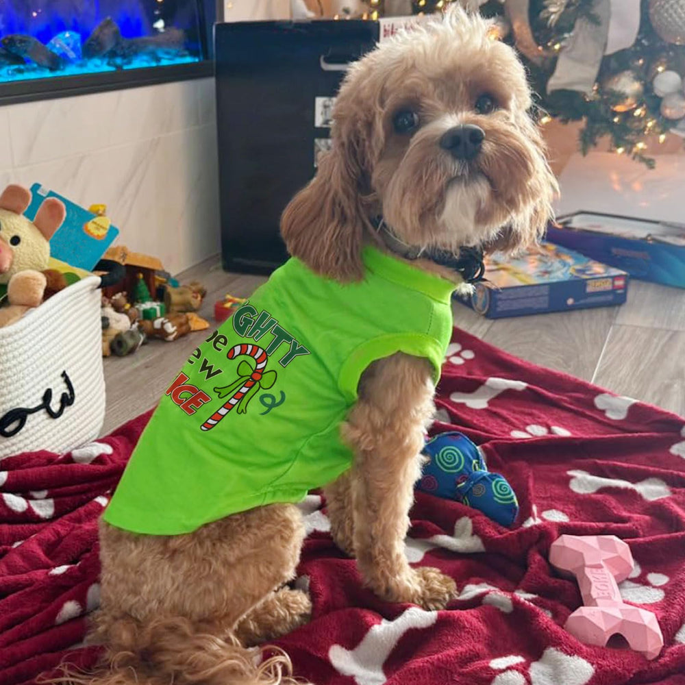 Tsorode christmas pajamas dog cat matching holiday outfits