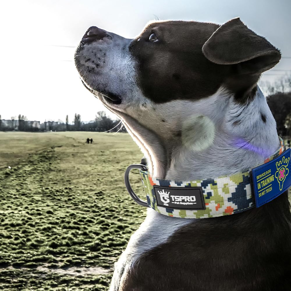 TSPRO camouflage green dog collar highlighting rugged outdoor-ready design.