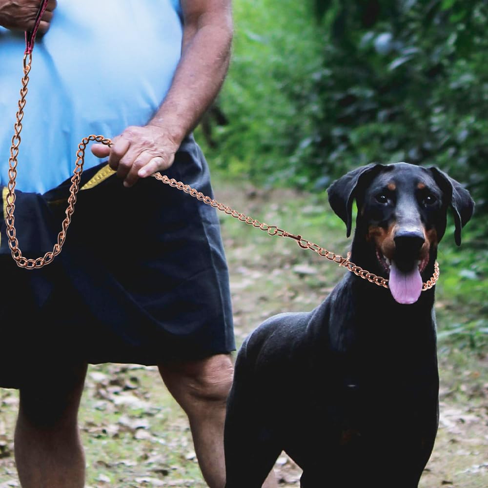TSPRO Chew Proof Dog Leash metal hook attachment offers secure collar connection.